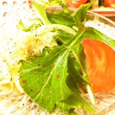 ✿ピリッと♪水菜と新玉ねぎのサラダ♬✿ ✿ピリッと♪水菜と新玉ねぎのサラダ♬✿