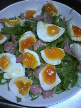 半熟卵と水菜のしゃきしゃきサラダ