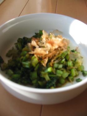 菜っ葉炒め　何の菜っ葉でもいいよ～！