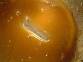 *サトワカレシピの基本*