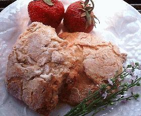 Maple　Scone