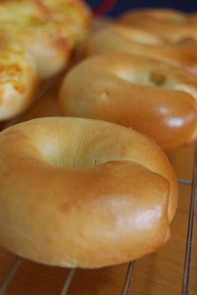 つくしぐみ印のプレーンベーグル。
