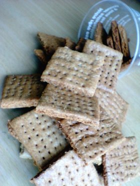 ｳﾏｯ！ガリッザクッなメープルクッキー