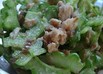 シャキシャキゴーヤサラダ