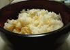 湯葉ごはん