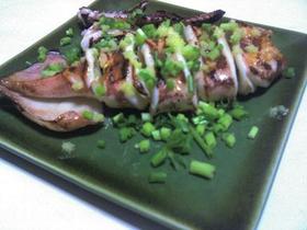 夏のイカ焼き