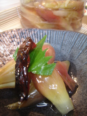 みょうがの中華風酢漬け