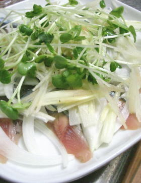 秋刀魚の刺身・香味野菜のせ