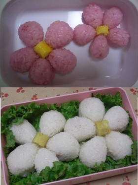 超簡単♪花のオニギリ【キャラ弁】