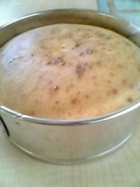 簡単★トウフのケーキ