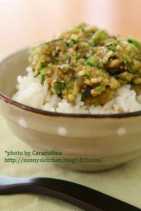 「だし」夏野菜いっぱい♪とろりん刻み漬け