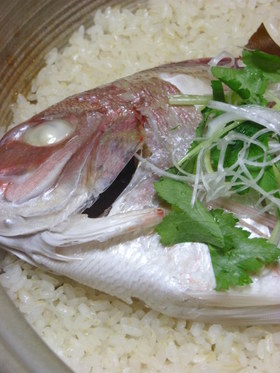 鯛めし
