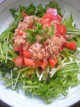 簡単！ツナ＆トマトのエスニックサラダ