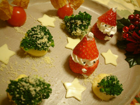 クリスマスの森？
