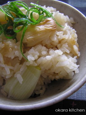 根深めし
