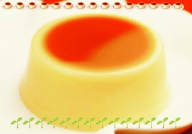 とろ～り　とろける☆プリン