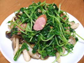 ササッと簡単!豆苗としめじのニンニク炒め