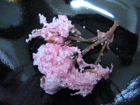 ❤自家製:桜の塩漬け❤