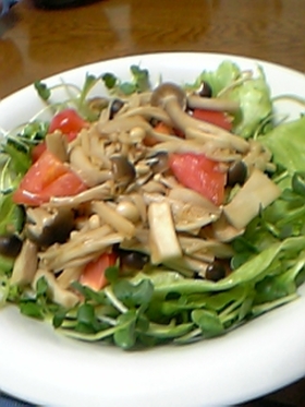 ハマる美味しさ！きのこたっぷりサラダ☆