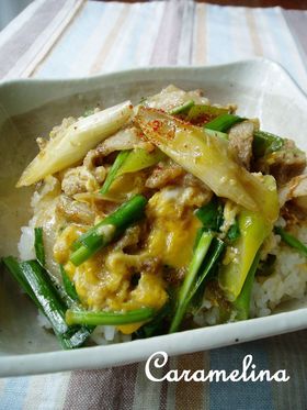 スタミナ☆豚肉の他人丼