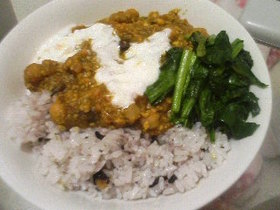 お豆腐ぴよぴよカレー(｡・◇・｡)(ё)