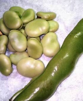 ◆めっちゃ簡単☆そら豆の茹で方◆