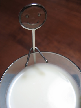 北海道のとろける牛乳プリン☺