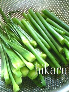 冷凍保存☆にんにくの芽