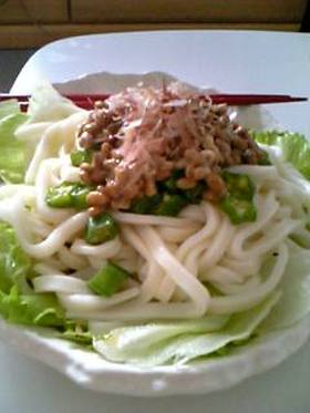 ねばねば★オクラ納豆のサラダうどん♫