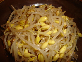 オモニ直伝☆豆もやしナムル
