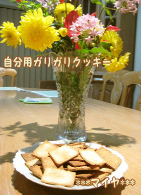 自分用:生おからで簡単ガリガリクッキー