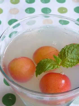 さくらんぼミントゼリー