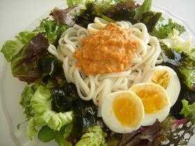 夏★コチュマヨ冷やしサラダうどん