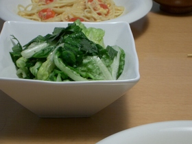 サラダ菜のサラダ