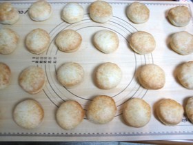 白い牧場