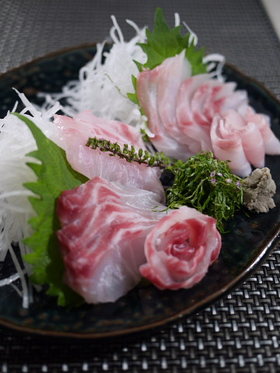 魚を捌こう！石鯛・石垣鯛の刺身編