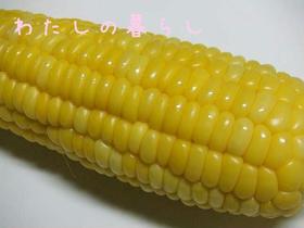 プリプリジューシー♡トウモロコシの茹で方