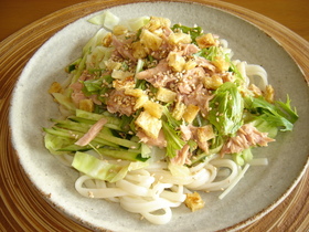 変り種!?サラダうどん！