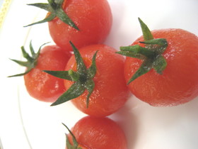 ミニトマトの冷製煮