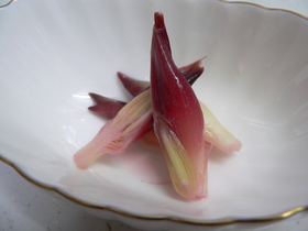 みょうがの酢漬け
