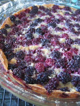 BlackberryCustardPie