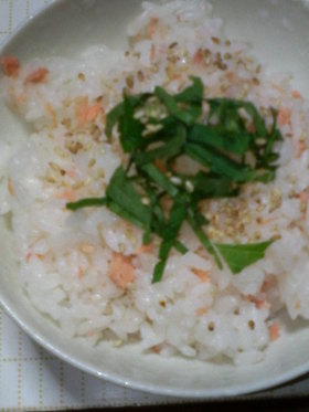 鮭ジャコご飯