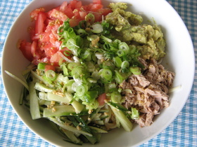タレが決め手！ザ・サラダうどん