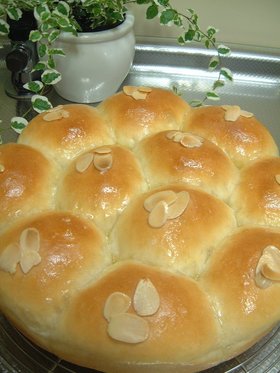 ミルキ～チョコクリームパン：ちぎりパン