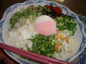 薬味たっぷり☆冷やしうどん
