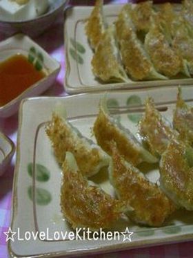 暑さも吹っ飛ぶ☆ゴーヤギョーザ(FP)