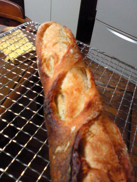 捏ねなくていいパンｄｅフランスパン