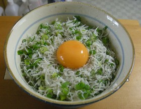 しらす うどん　（ク ・ 普　共通）