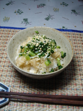 鬼おろし大根で健康どんぶり！