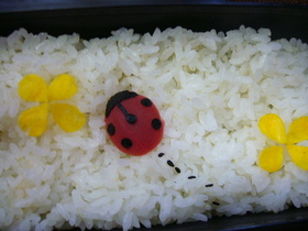 梅のてんとう虫（キャラ弁）